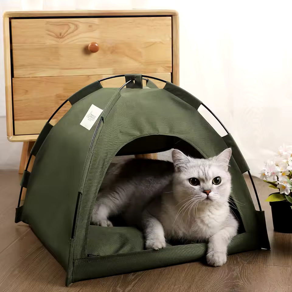 The Kitty Kamp