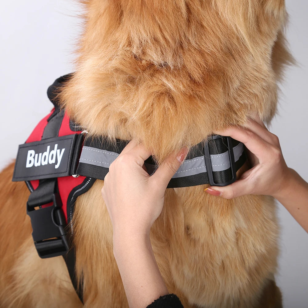 Trailblazer Personalized Reflective Dog Harness