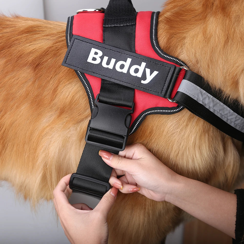 Trailblazer Personalized Reflective Dog Harness