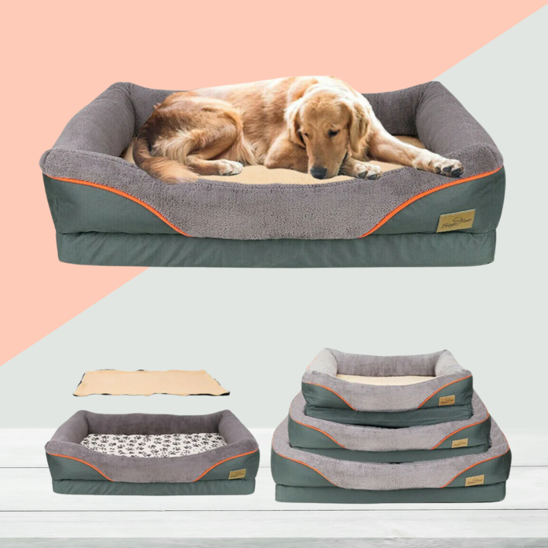 Orthopedic Dog Sofa Bed